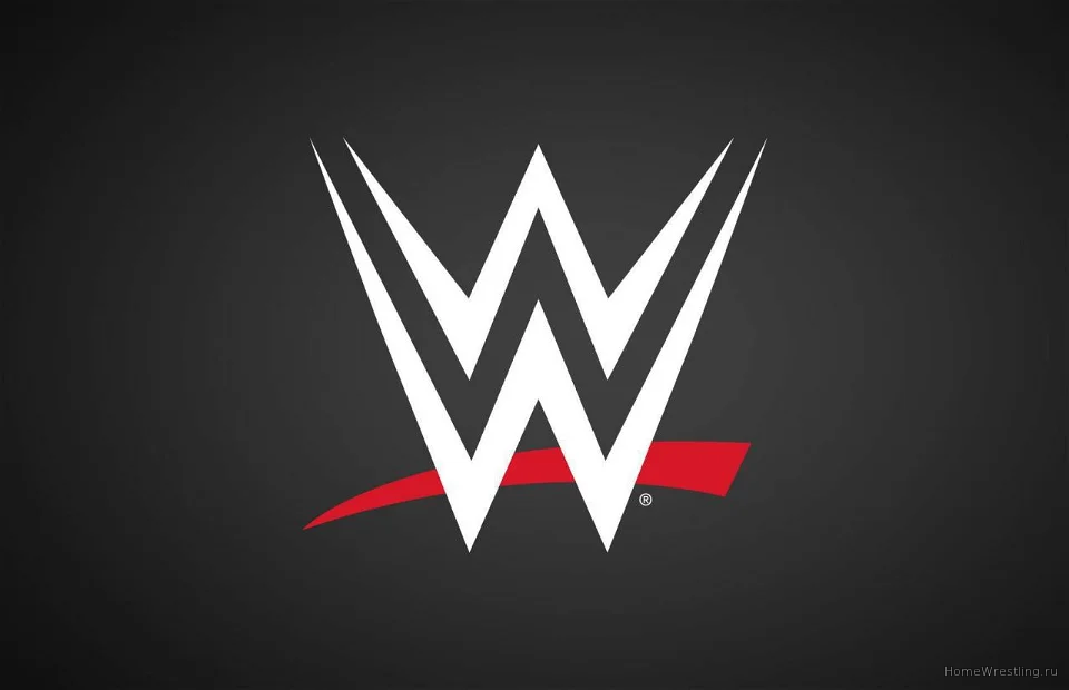 WWE и Netflix готовят реалити шоу и документальные фильмы