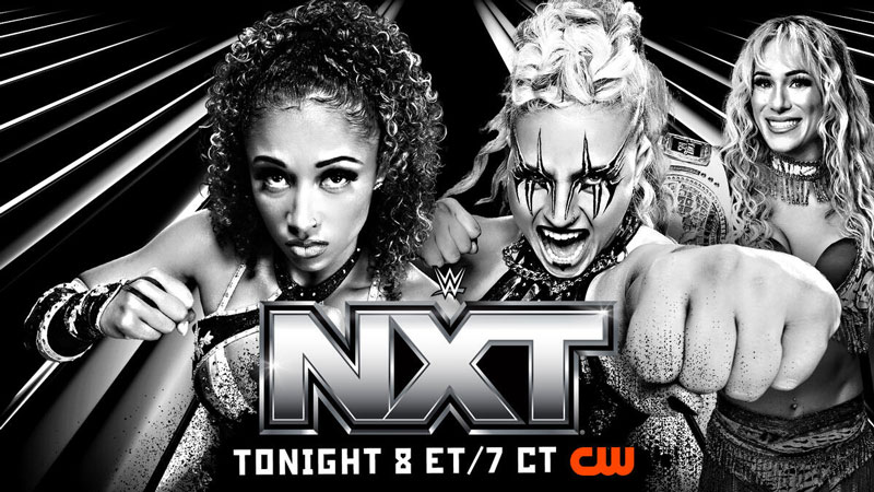 Результаты WWE NXT 20.05.2025