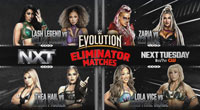 Превью WWE NXT 17.06.2025