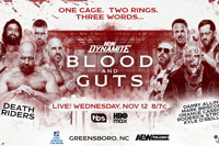 Дарби Аллин прокомментировал опасный момент на AEW Blood And Guts 2025