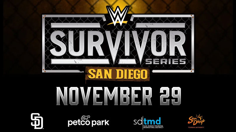 Команды участниц женского матча WarGames на WWE Survivor Series 2025