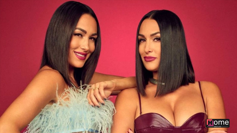 Закулисные новости о возвращении Бри Беллы в WWE на Royal Rumble и её ближайших планах