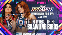 Превью AEW Dynamite 18.02.2026